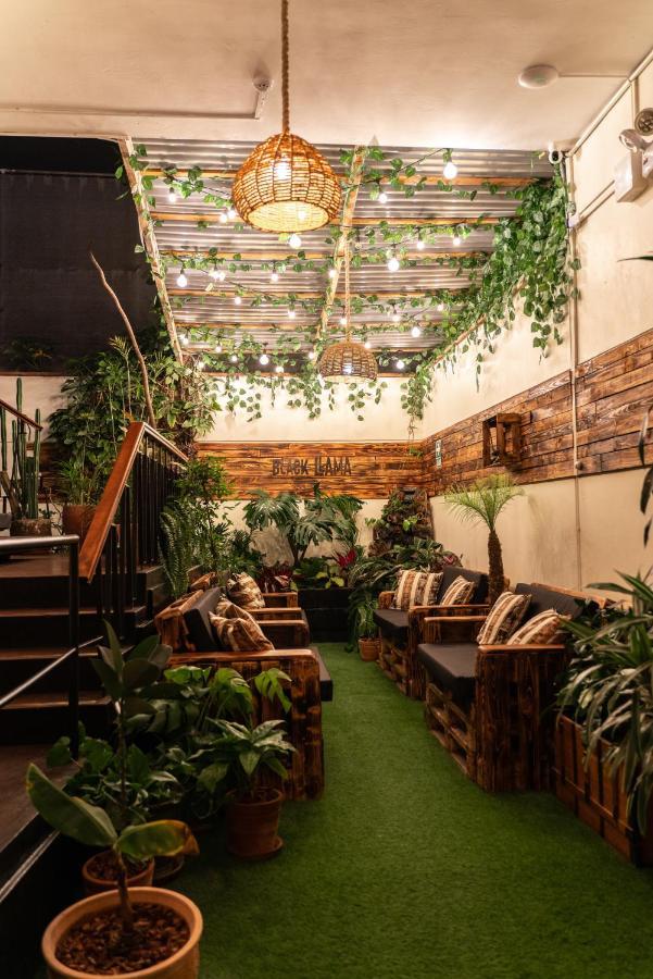 Black Llama Hostal Lima